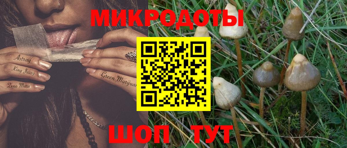 Псилоцибиновые грибы прущие грибы Железногорск